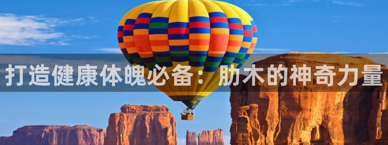 凯时官网app下载官方网站：打造健康体魄必备：肋木的