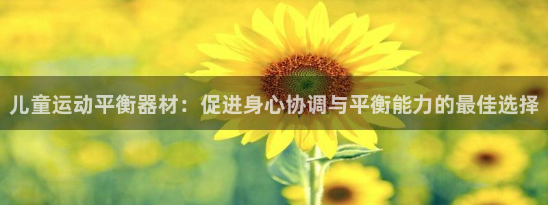 尊龙凯时代理：儿童运动平衡器材：促进身心协调与平衡能