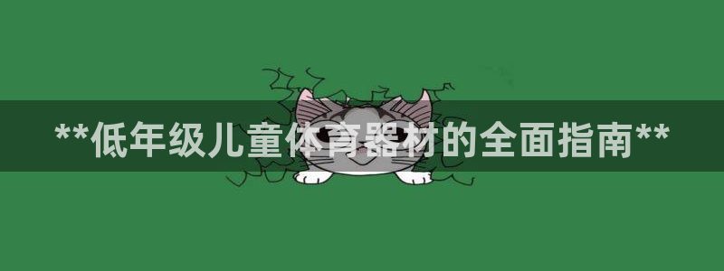 尊龙t400和尊龙t300区别：**低年级儿童体育器