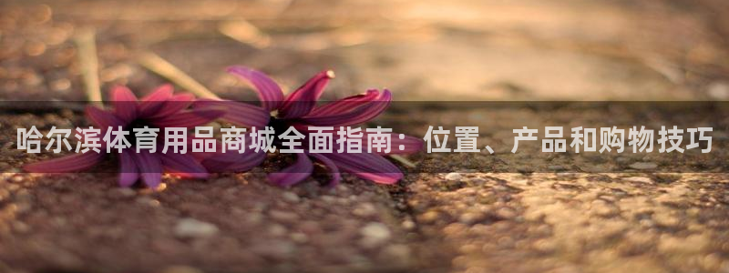尊龙官方网站是真的吗：哈尔滨体育用品商城全面指南：位
