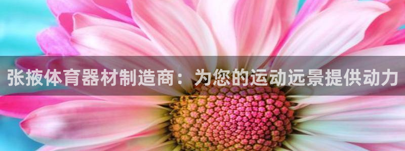 尊龙ag旗舰厅登陆：张掖体育器材制造商：为您的运动远