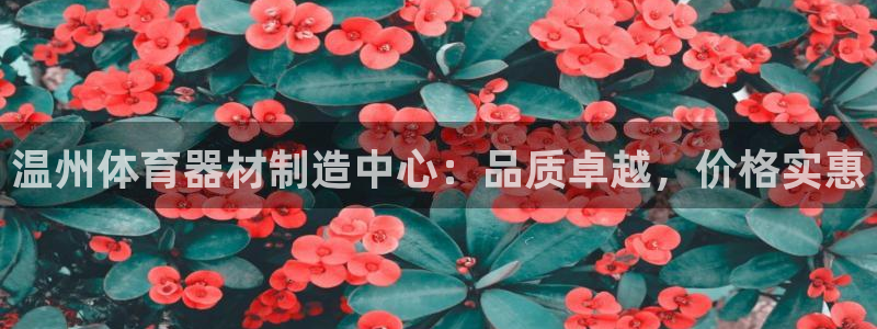 d88尊龙z6：温州体育器材制造中心：品质卓越，价格