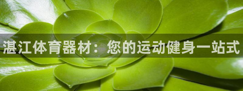 Z6尊龙老版：湛江体育器材：您的运动健身一站式