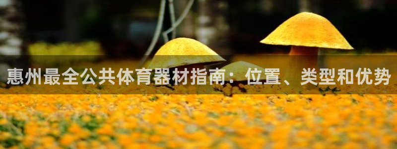尊龙凯时干什么的：惠州最全公共体育器材指南：位置、类