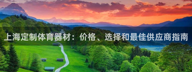 agz6尊龙凯时集团：上海定制体育器材：价格、选择和