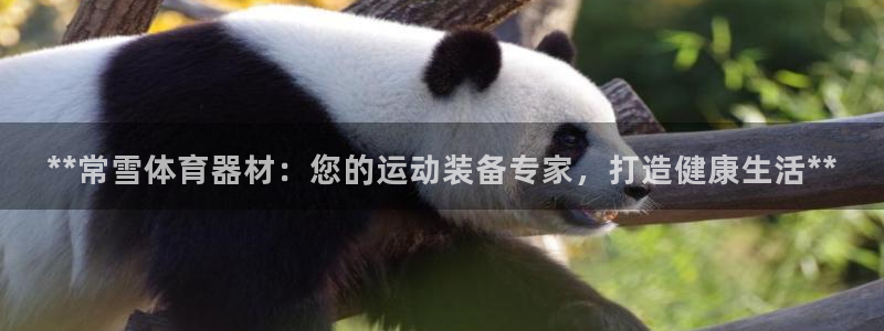 尊龙凯时企业文化：**常雪体育器材：您的运动装备专家