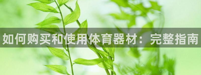 凯时ag旗舰厅登录：如何购买和使用体育器材：完整指南