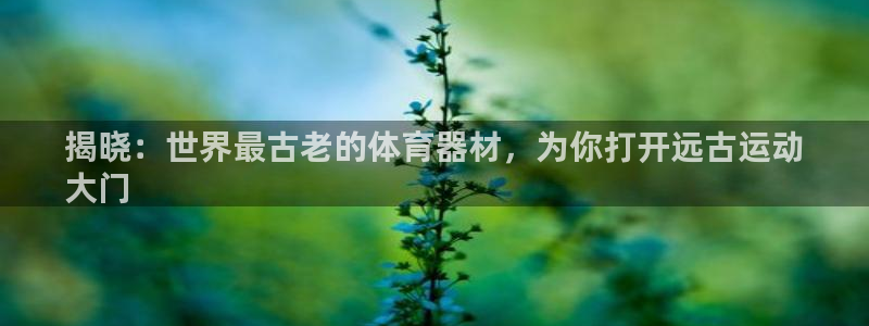 尊龙凯时 - 人生就是搏!：揭晓：世界最古老的体育器
