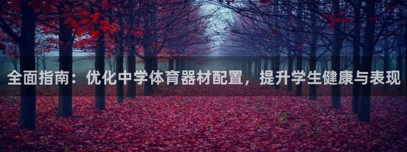 尊龙凯时代理能提出来不：全面指南：优化中学体育器材配