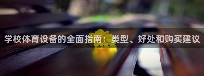 尊龙凯时输了100万：学校体育设备的全面指南：类型、