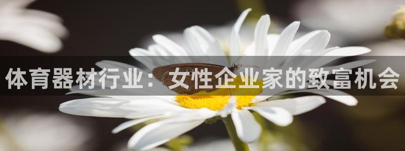 尊龙凯时注册：体育器材行业：女性企业家的致富机会