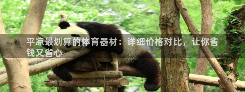 尊龙内地：平凉最划算的体育器材：详细价格对比，让你省
