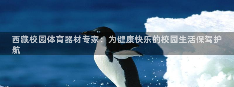 尊龙AG旗舰店：西藏校园体育器材专家：为健康快乐的校