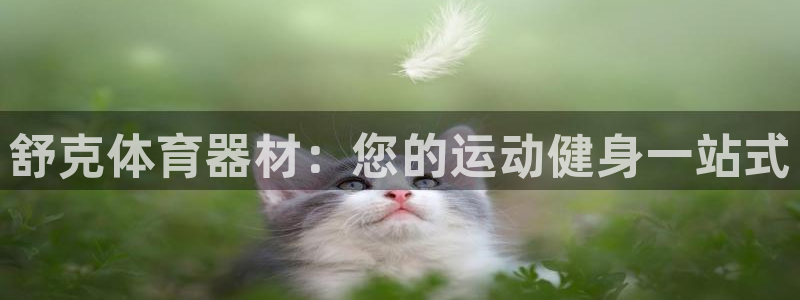 凯时国际app首页：舒克体育器材：您的运动健身一站式