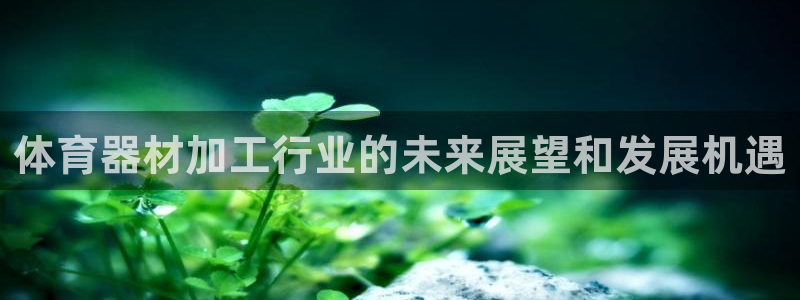 尊龙饰演过的经典角色：体育器材加工行业的未来展望和发
