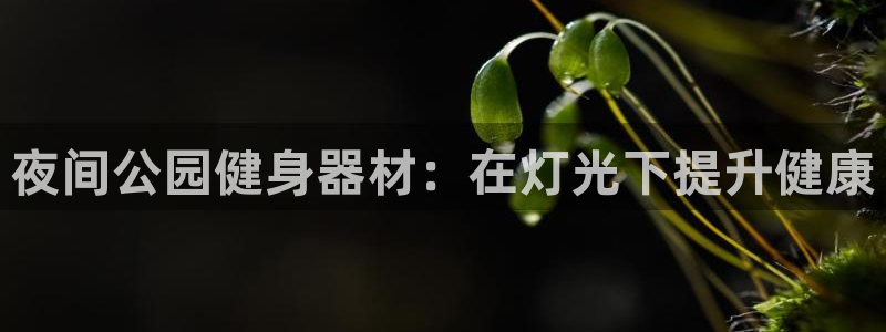 尊龙凯时人生就是博·(中国)官网首页：夜间公园健身器