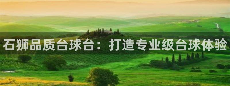 ag旗舰平台尊龙代言：石狮品质台球台：打造专业级台球