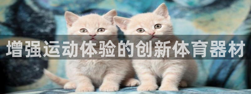 尊龙凯时家居是品牌吗：增强运动体验的创新体育器材