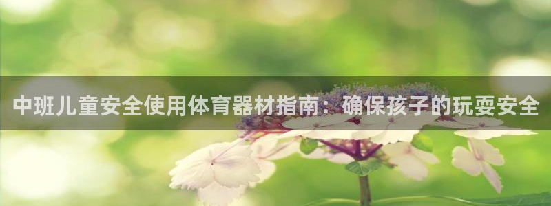 尊龙凯时人生就是博中国官网：中班儿童安全使用体育器材