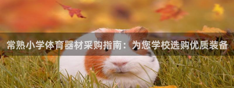 尊龙凯时ag旗舰厅官网客服：常熟小学体育器材采购指南