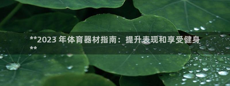 凯时ag旗舰厅：**2023 年体育器材指南：提升表