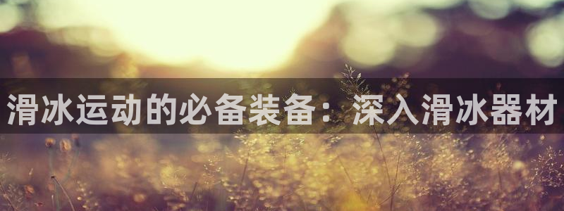 尊龙凯时人生就是搏!平台：滑冰运动的必备装备：深入滑