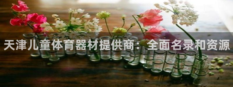 尊龙凯时凯发官网：天津儿童体育器材提供商：全面名录和