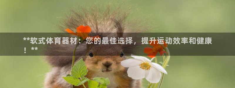 尊龙凯时能提现吗：**软式体育器材：您的最佳选择，提