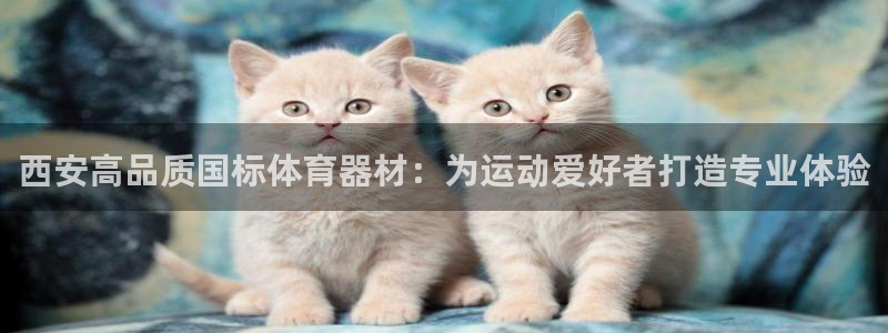 尊龙凯时人生就是博游戏网站：西安高品质国标体育器材：