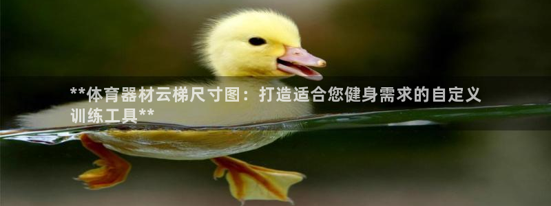 尊龙人生就是-首页(中国)有限公司：**体育器材云梯