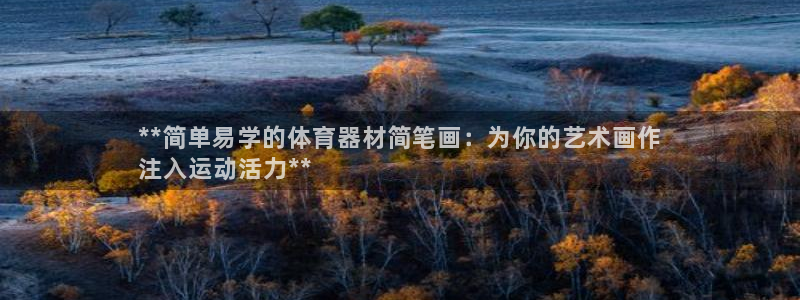 尊龙—人生就是博：**简单易学的体育器材简笔画：为你