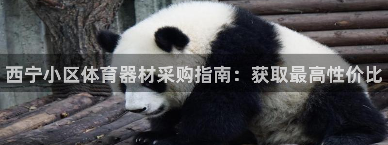 尊龙平台有谁玩过：西宁小区体育器材采购指南：获取最高