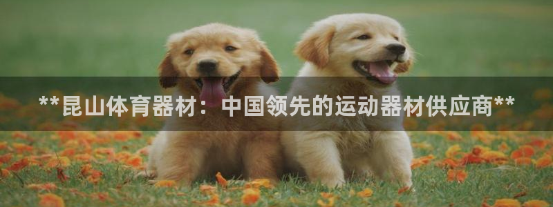 尊龙一生也走不出自己的童年：**昆山体育器材：中国领