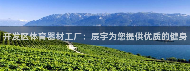 尊龙人生就是博官网登录手机：开发区体育器材工厂：辰宇