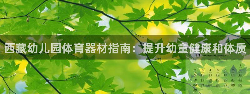 尊龙凯时白家乐：西藏幼儿园体育器材指南：提升幼童健康