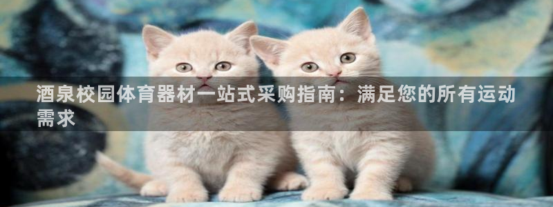 尊龙凯时ag旗舰厅：酒泉校园体育器材一站式采购指南：