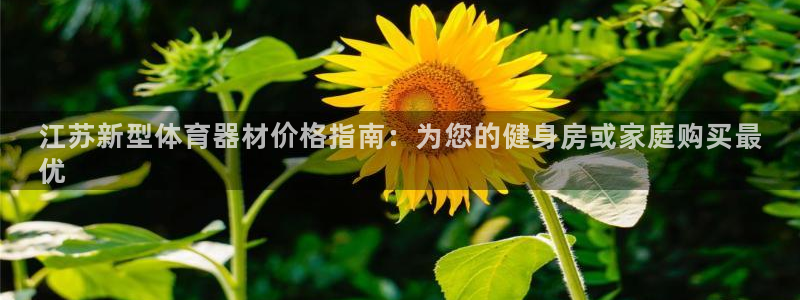 尊龙旗舰厅app：江苏新型体育器材价格指南：为您的健