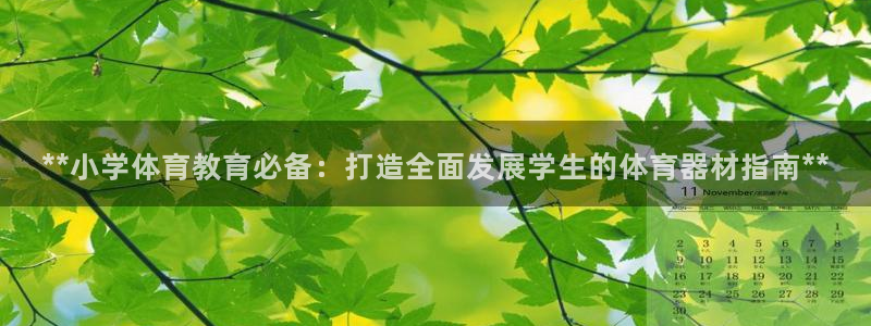 尊龙凯时官方网页：**小学体育教育必备：打造全面发展