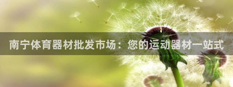 d88尊龙平台开户：南宁体育器材批发市场：您的运动器