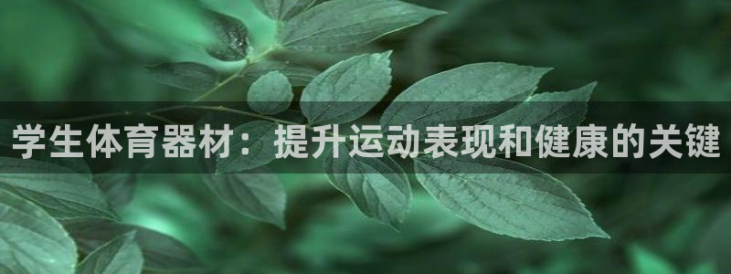 尊龙2016：学生体育器材：提升运动表现和健康的关键