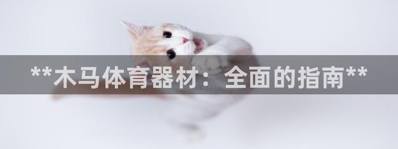 尊龙凯时论坛：**木马体育器材：全面的指南**