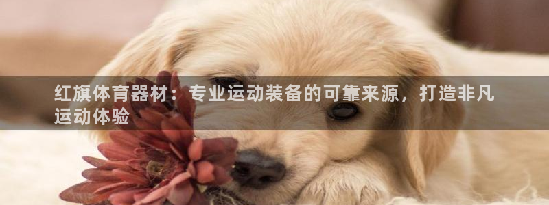 AG尊龙凯时注册：红旗体育器材：专业运动装备的可靠来