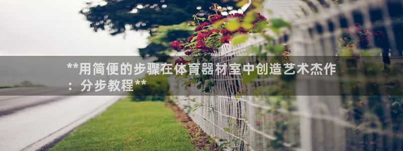 尊龙凯时d5138：**用简便的步骤在体育器材室中创