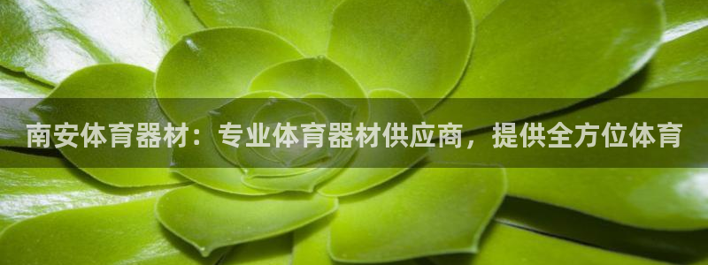尊龙凯时存款不上分：南安体育器材：专业体育器材供应商