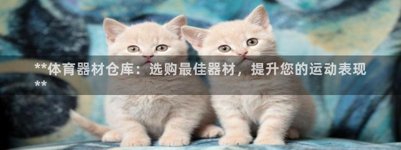尊龙APP客户端平台：**体育器材仓库：选购最佳器材
