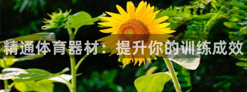 尊龙人生就要博旧版：精通体育器材：提升你的训练成效