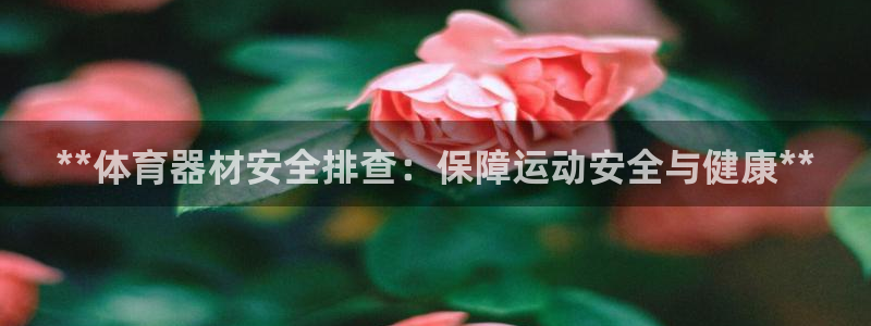 尊龙d88用现推选ag发财网：**体育器材安全排查：
