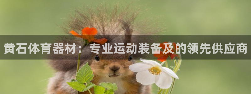凯时app官方首页：黄石体育器材：专业运动装备及的领