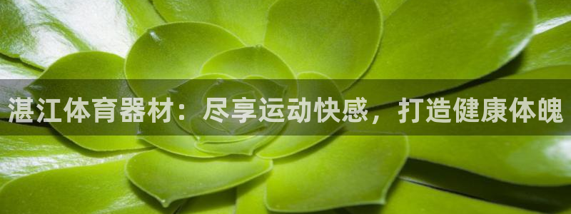 尊龙官方网址：湛江体育器材：尽享运动快感，打造健康体