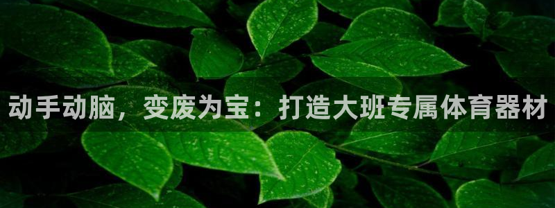 尊龙手机客户端下载APP：动手动脑，变废为宝：打造大